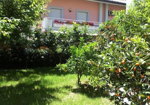 appartamento estivo casa vacanze mare a san benedetto del tronto agenziapetra.it